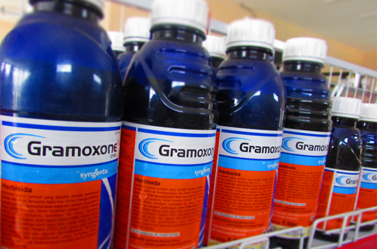Gramoxone herbicide clearance
